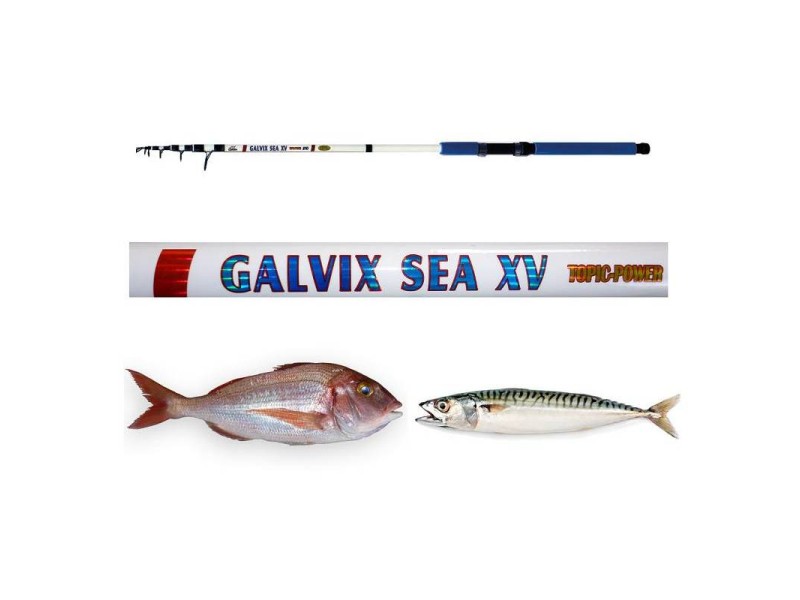 Fishing rod CARSON Galvix Sea XV