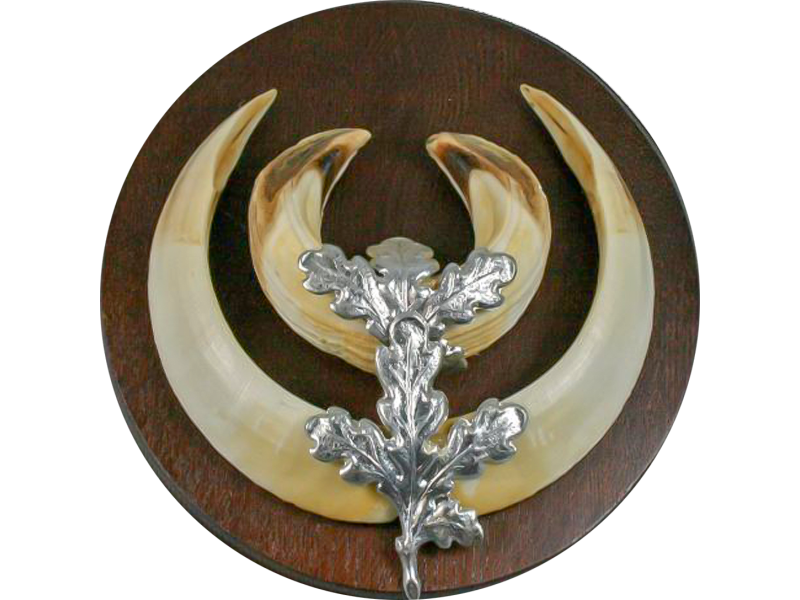 Dekoracija za trofejo divjega prašiča OAK LEAVES silver
