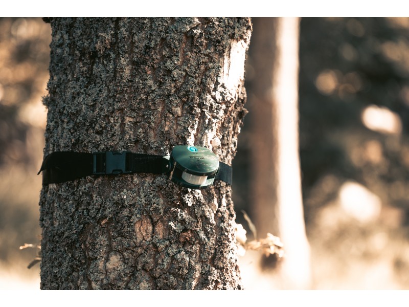 Hunting sensor CALIBER HUNTING