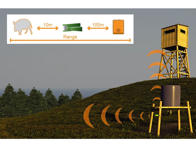 Hunting sensor CALIBER HUNTING