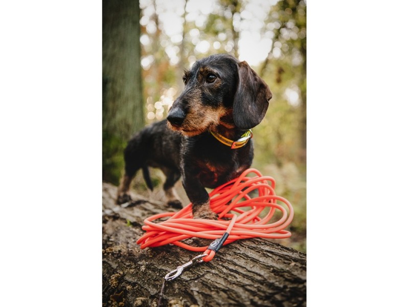 Vodeći povodac FARM LAND 10 metara - narančasti