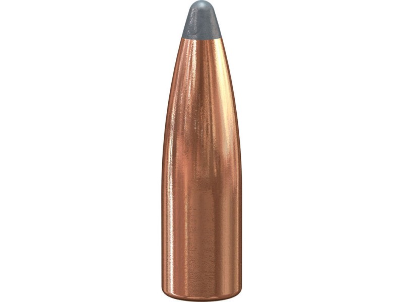 Krogle za polnjenje SPEER Hot-Core Big game .30 - 10,7g/165gr