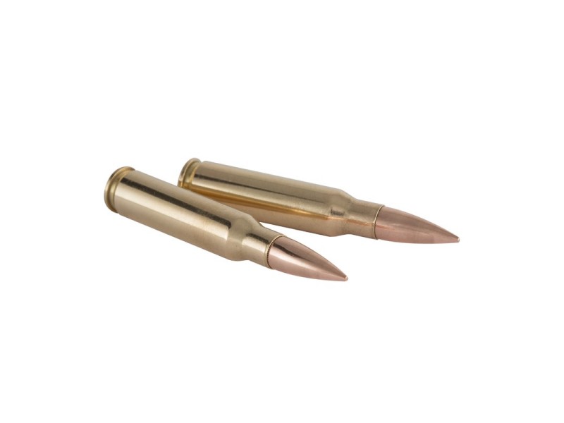 Naboj WINCHESTER Target FMJ - 3,56g/55gr