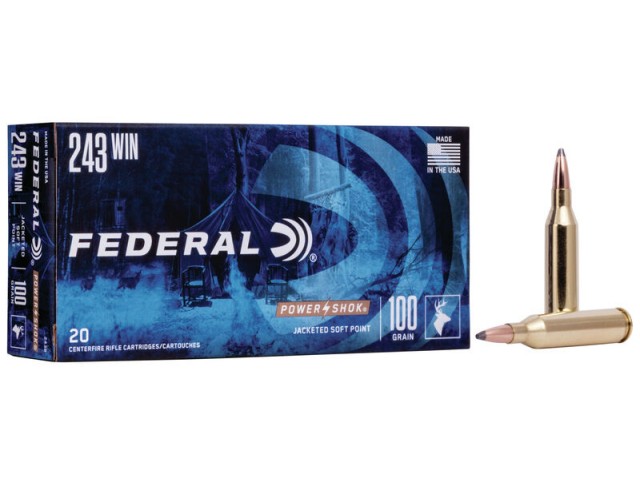 Proiettile FEDERAL Power Shok 243 WIN - 100gr/6,5g