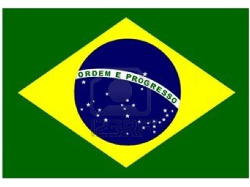 Flag Brasilia