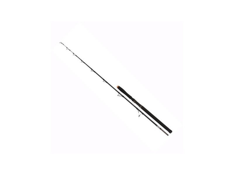 Rib. palica FIL FISHING Hercules Catfish 1,98m/100-300g